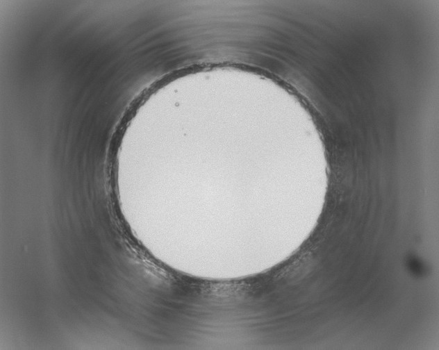 X0000054390832200508121630