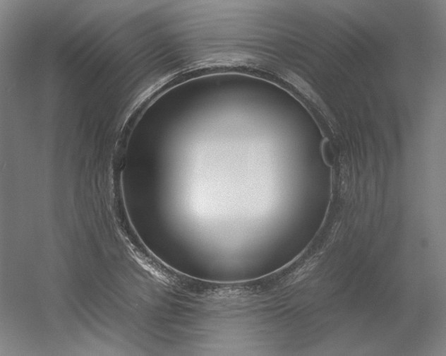 X0000054390834200508121630