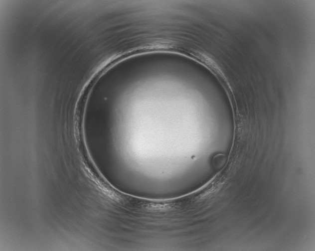 X0000054390835200508121630