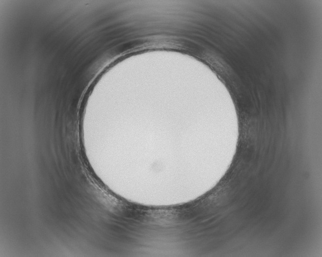 X0000054390836200508121630