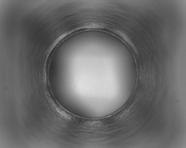 X0000054390837200508121630