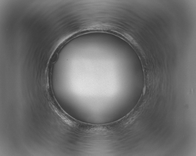 X0000054390838200508121630