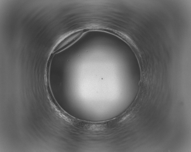 X0000054390839200508121630