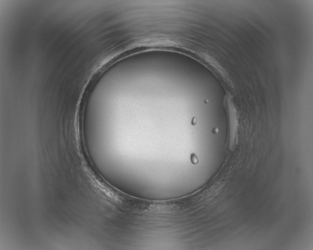 X0000054390840200508121630