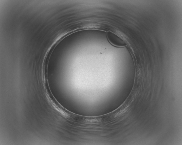 X0000054390843200508121630