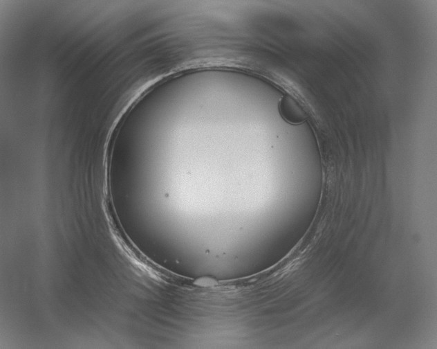 X0000054390844200508121630