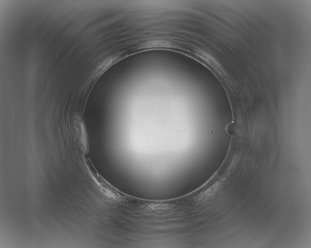 X0000054390849200508121631