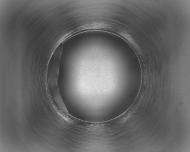 X0000054390850200508121631