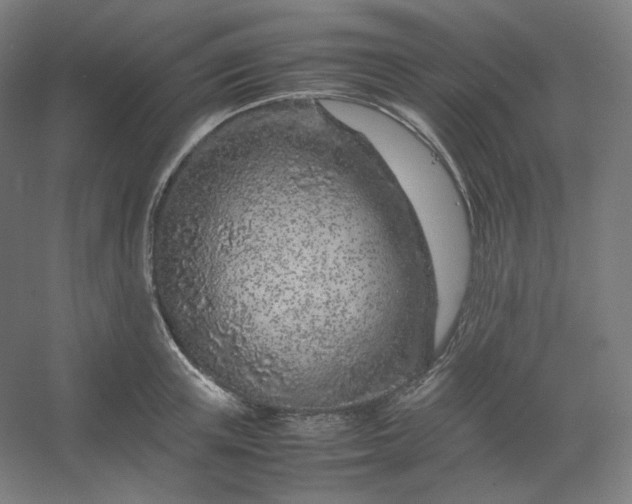 X0000054390851200508121631