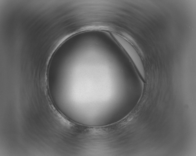 X0000054390852200508121631