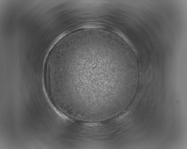 X0000054390853200508121631