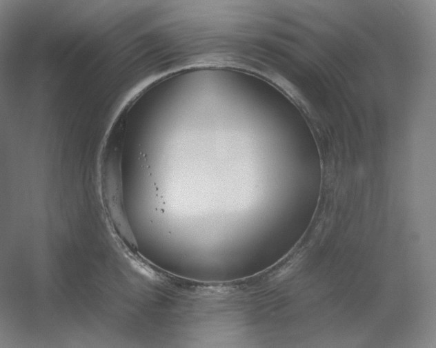 X0000054390854200508121631