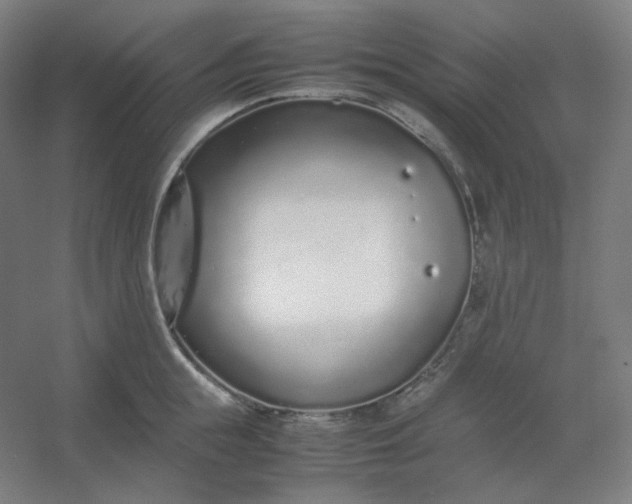 X0000054390855200508121631