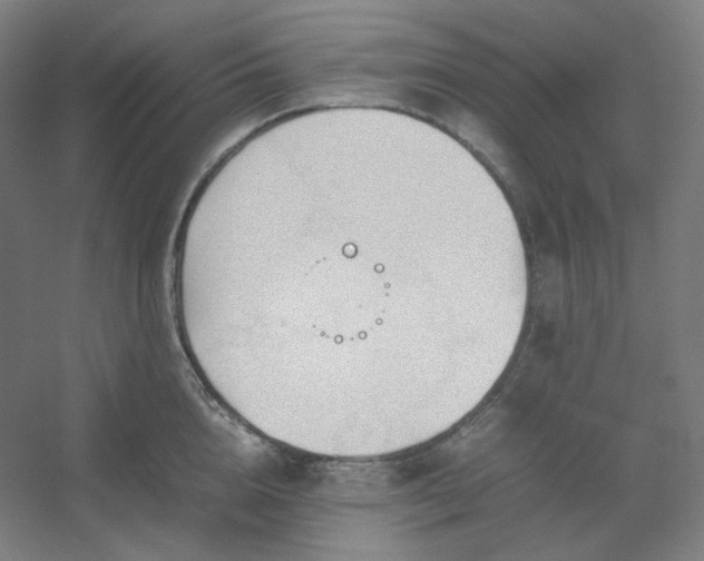 X0000054390856200508121631