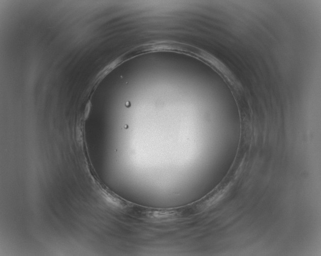 X0000054390857200508121631