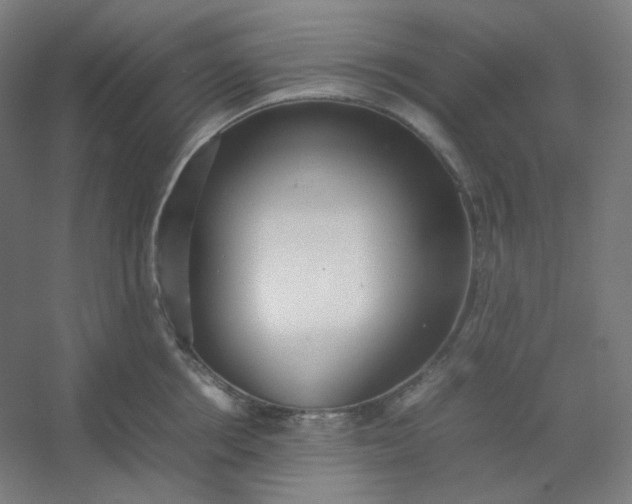 X0000054390858200508121631