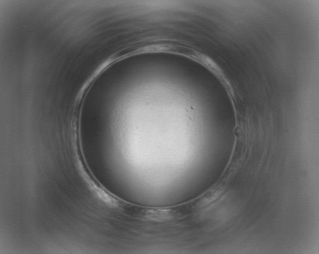 X0000054390859200508121631