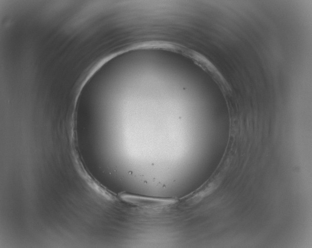 X0000054390860200508121631