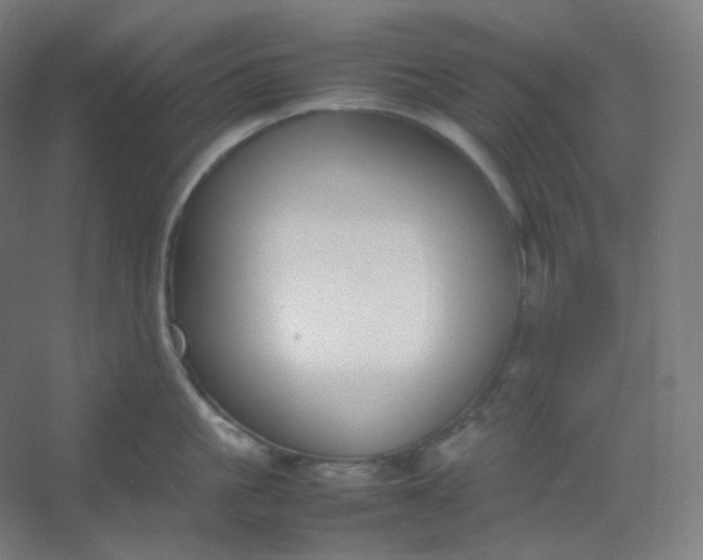 X0000054390861200508121631