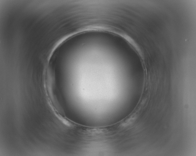 X0000054390862200508121631