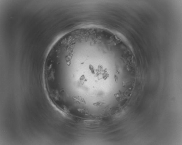 X0000054390863200508121631