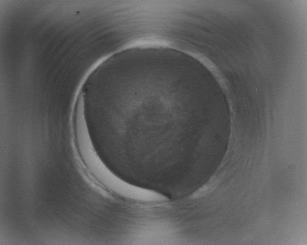 X0000054390864200508121631