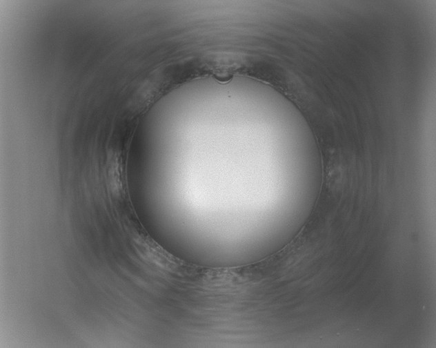 X0000054390866200508121630