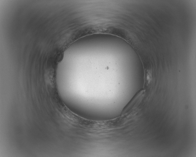 X0000054390867200508121630