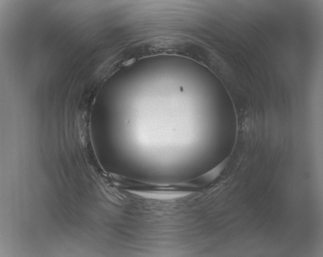 X0000054390868200508121630