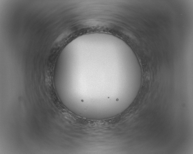 X0000054390869200508121630