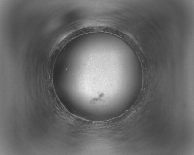 X0000054390871200508121630