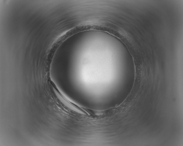 X0000054390872200508121630