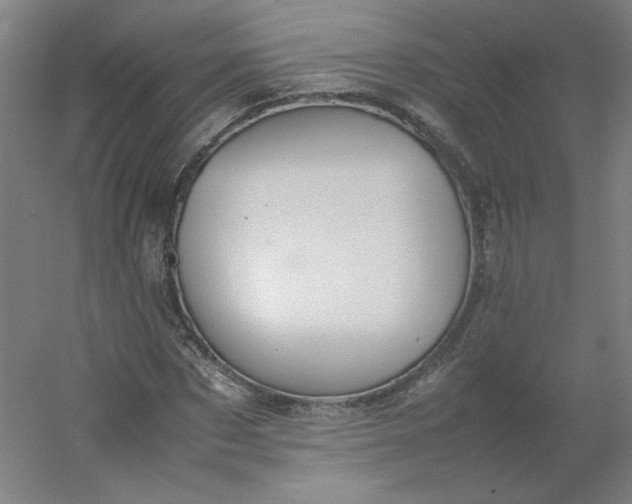 X0000054390873200508121630