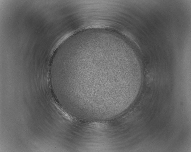 X0000054390874200508121630