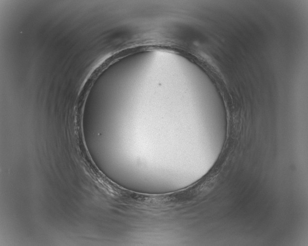 X0000054390875200508121630