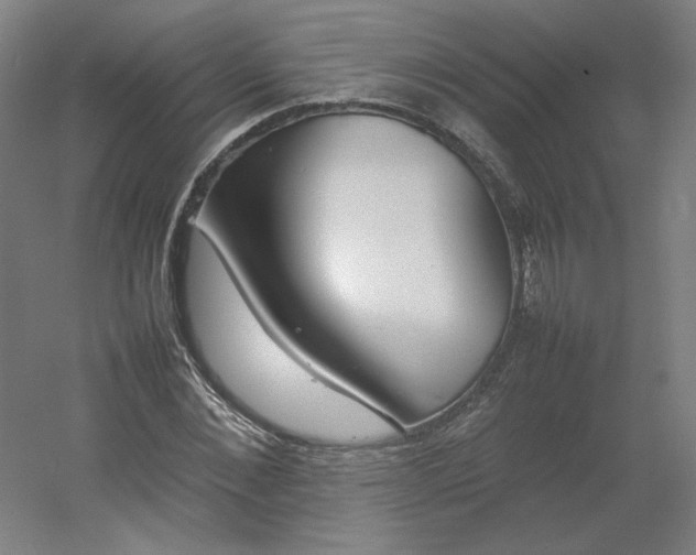 X0000054390876200508121630