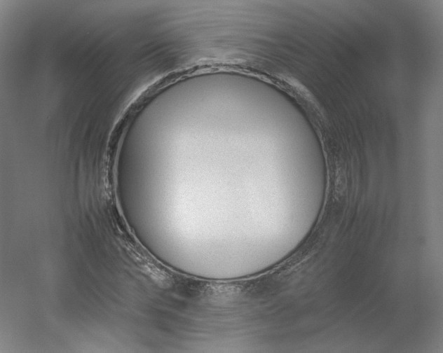 X0000054390878200508121630