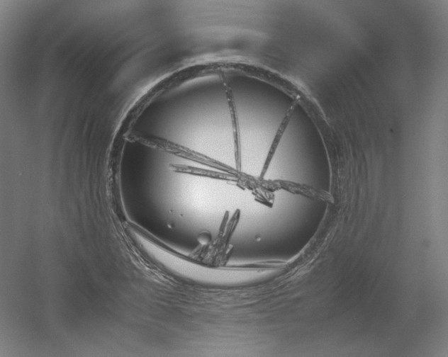 X0000054390879200508121630