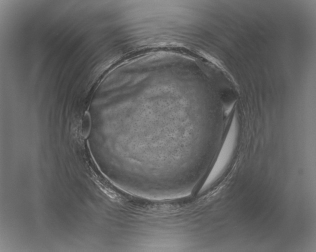 X0000054390881200508121630