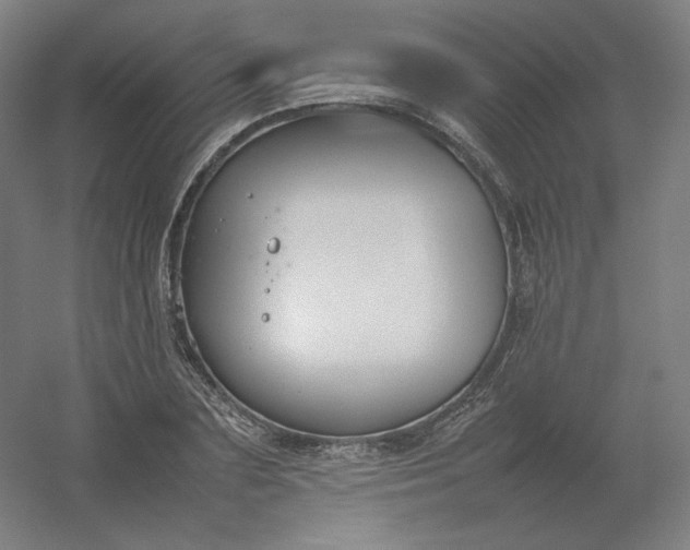 X0000054390883200508121630