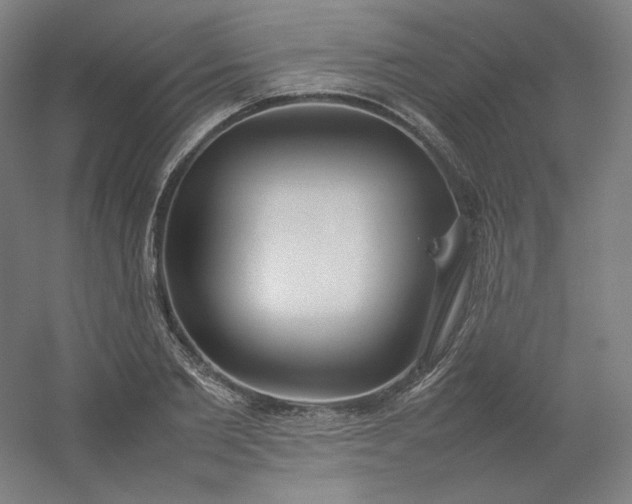 X0000054390885200508121630