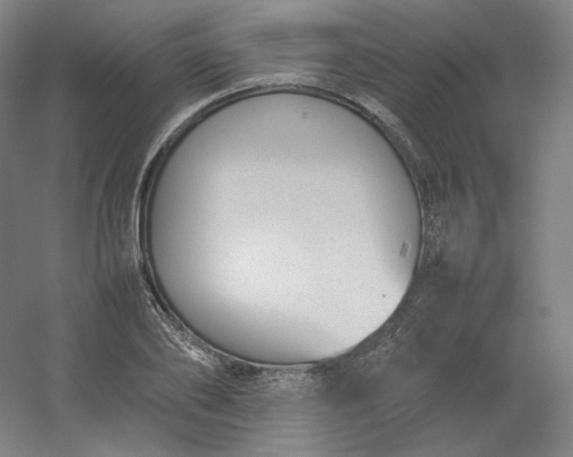 X0000054390886200508121630