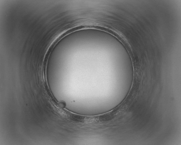 X0000054390887200508121630