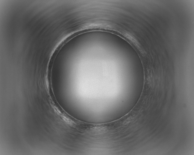 X0000054390888200508121630