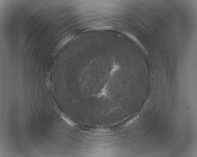 X0000054390889200508121630