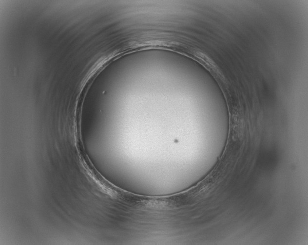 X0000054390890200508121630