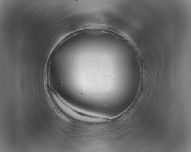 X0000054390891200508121630