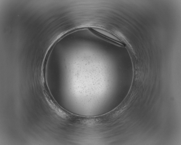 X0000054390892200508121630