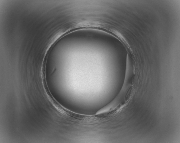 X0000054390893200508121630