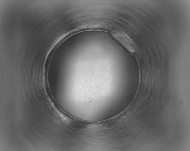 X0000054390894200508121630